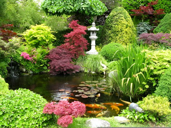 pond pump