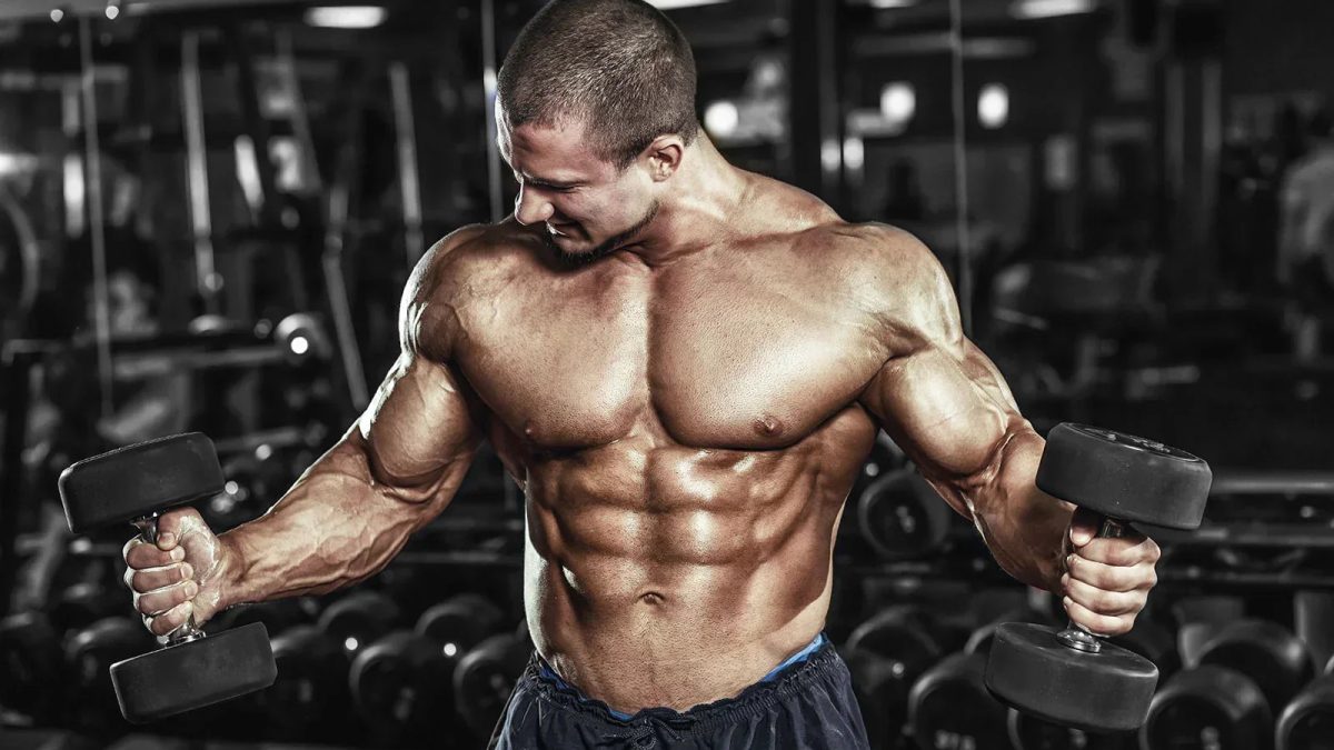 Muscle Gain Supplements and Mass Gainer: Building a Stack That Works